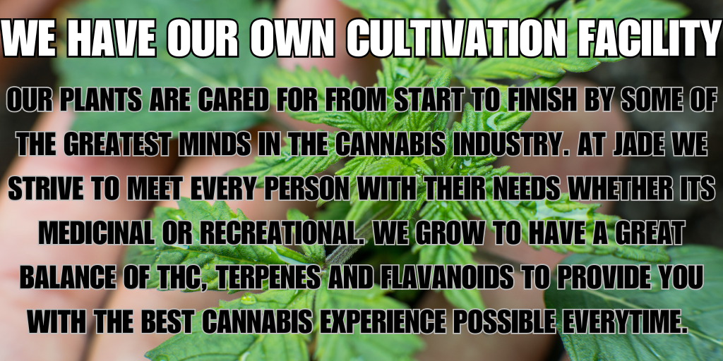 wE HAVE OUR OWN CULTIVATION FACILITY t